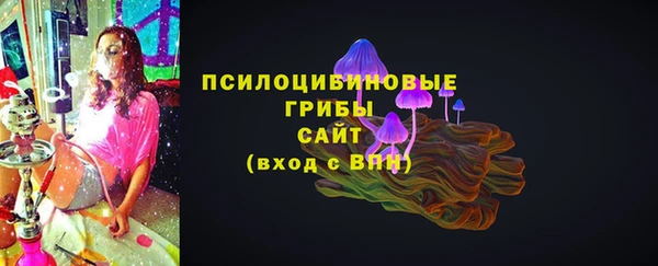 мескалин Заводоуковск