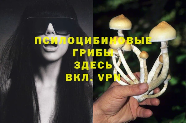 мескалин Заводоуковск