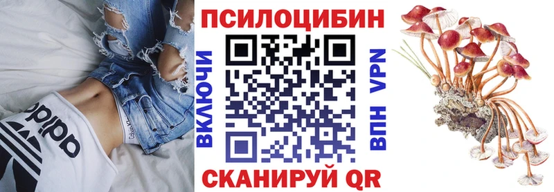 Псилоцибиновые грибы мухоморы  Купить  Себеж 